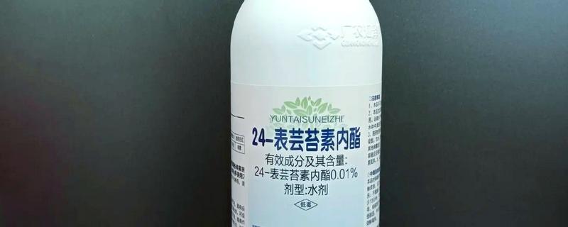 云苔素拌麦种要用多少，10毫升芸苔素可兑水250-500公斤