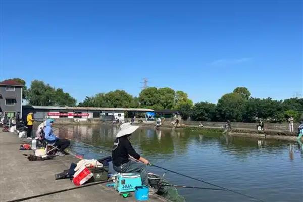 5号千又鱼钩要用多大子线，一般配3.0号子线