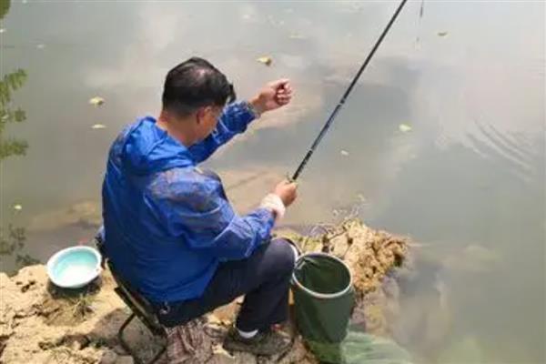 5号千又鱼钩要用多大子线，一般配3.0号子线