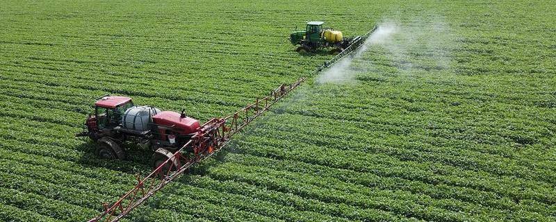大豆蚜虫怎么防治，贯彻合理用药、保护天敌的原则