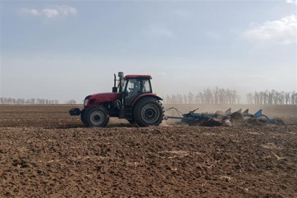 大蒜的种植时间，可分为春播和秋播