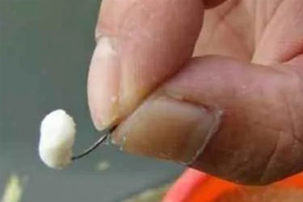 6H鱼竿是否适合钓鲫鱼，硬度可能偏大容易拉豁鱼唇