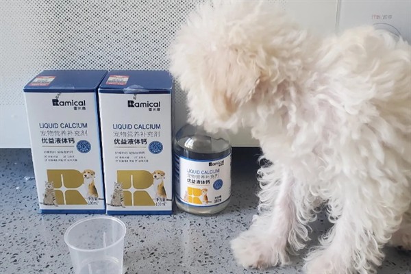 狗狗为什么发抖，一般是着凉、受惊、感到疼痛等因素所致