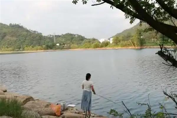 新手如何选择鱼竿，初学者可挑选物美价廉的品牌来练手