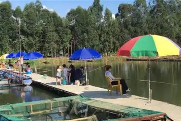 新手如何选择鱼竿，初学者可挑选物美价廉的品牌来练手