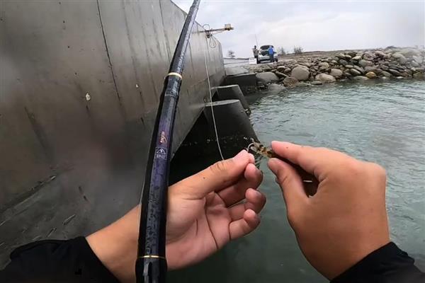 新手如何选择鱼竿，初学者可挑选物美价廉的品牌来练手