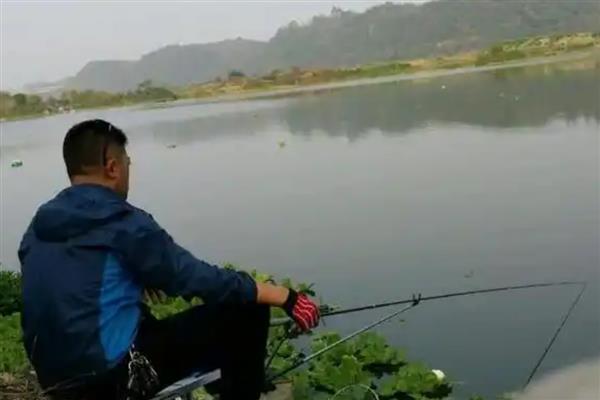 新手如何选择鱼竿，初学者可挑选物美价廉的品牌来练手