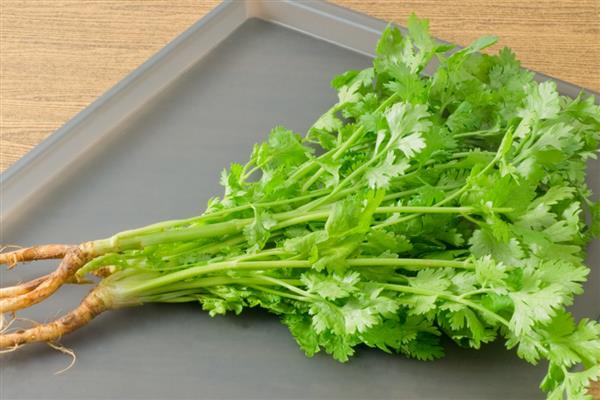 常见哪些绿叶蔬菜，包含香菜、芹菜、菠菜等品种