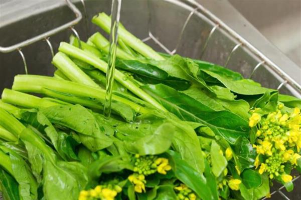 常见哪些绿叶蔬菜，包含香菜、芹菜、菠菜等品种
