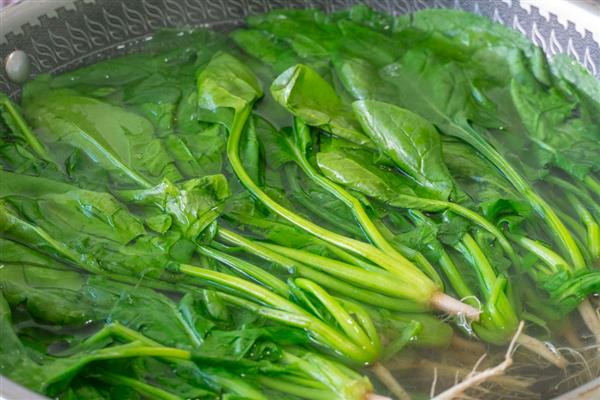 常见哪些绿叶蔬菜，包含香菜、芹菜、菠菜等品种