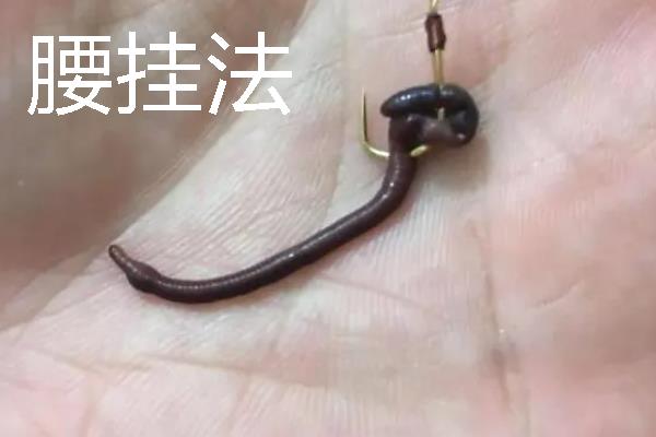 钓鱼怎样穿蚯蚓，可采用以下3种方法