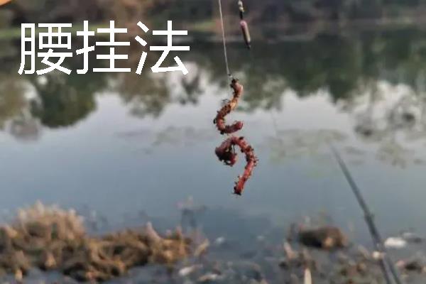 钓鱼怎样穿蚯蚓，可采用以下3种方法