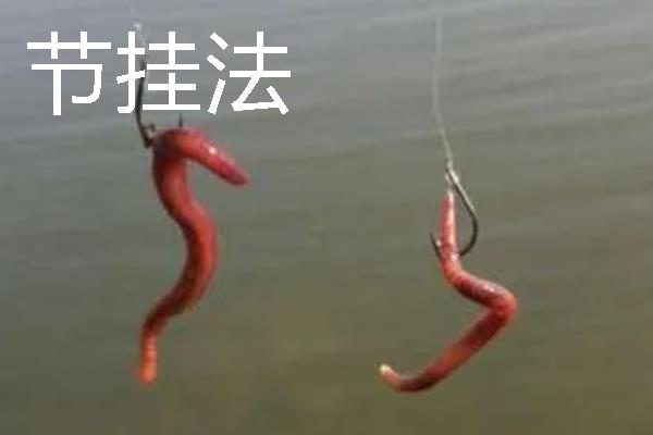钓鱼怎样穿蚯蚓，可采用以下3种方法