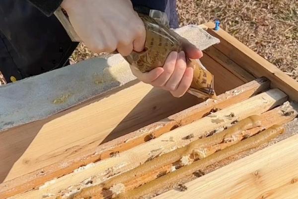 蜜蜂冬季如何越冬,在蜂箱外侧放置隔板和保温物能起到防寒效果