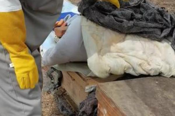 蜜蜂冬季如何越冬,在蜂箱外侧放置隔板和保温物能起到防寒效果