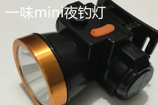 夜钓灯的简介,是指用于晚上垂钓的灯具
