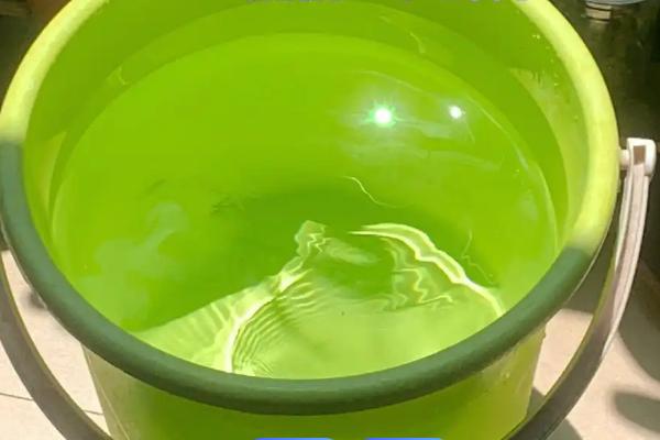 养鱼能不能用纯净水，含氧量低不适合鱼类生存