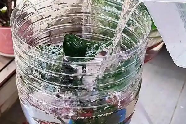 养鱼能不能用纯净水，含氧量低不适合鱼类生存