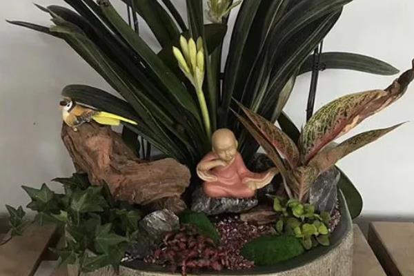 栽培蝴蝶兰用什么土壤，适合将腐叶土或泥炭土当作基质