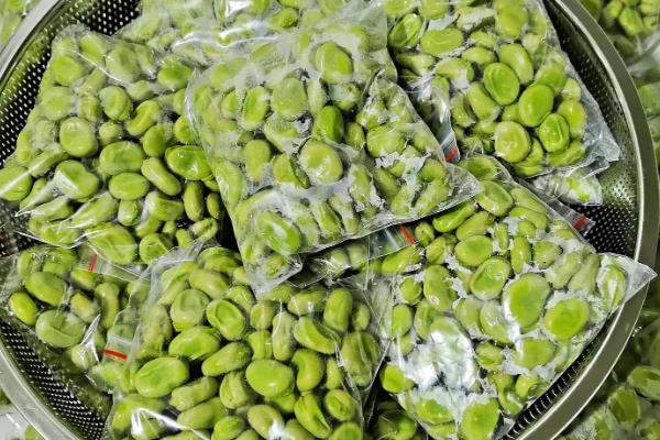 蚕豆的保存方式，常用冷藏、冷冻、风干这3种方法