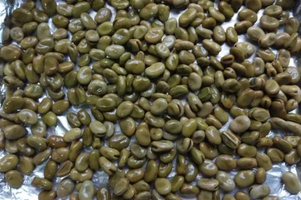 蚕豆的保存方式，常用冷藏、冷冻、风干这3种方法