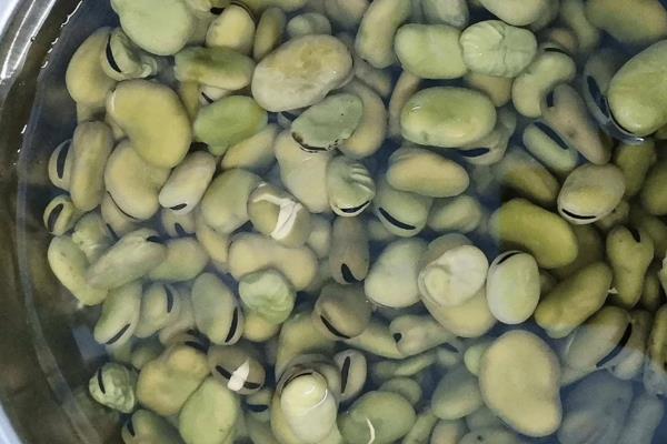 蚕豆的保存方式，常用冷藏、冷冻、风干这3种方法