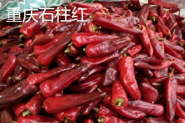 适合做干辣椒的品种，推荐四川二荆条辣椒、陕西线辣椒等