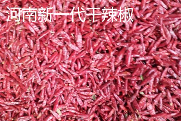 适合做干辣椒的品种，推荐四川二荆条辣椒、陕西线辣椒等