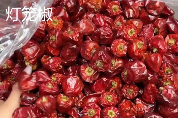 适合做干辣椒的品种，推荐四川二荆条辣椒、陕西线辣椒等
