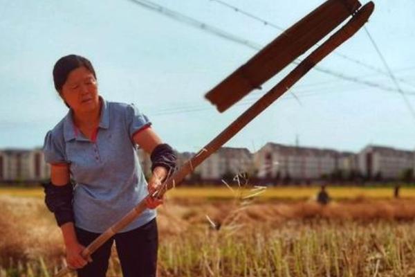 常见的农具有哪些，有镰刀、耙子等