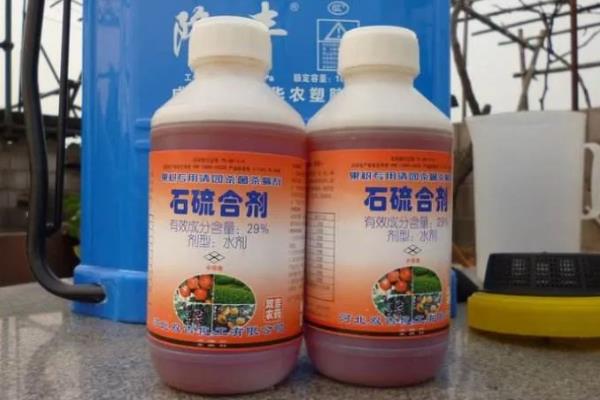 石硫合剂的使用时间，主要在清园前使用