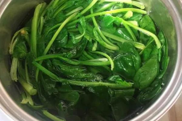 虾吃什么东西，主要以浮游生物为食