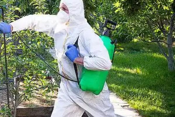 包衣种子的使用注意事项，要存放在干燥、阴凉的通风处