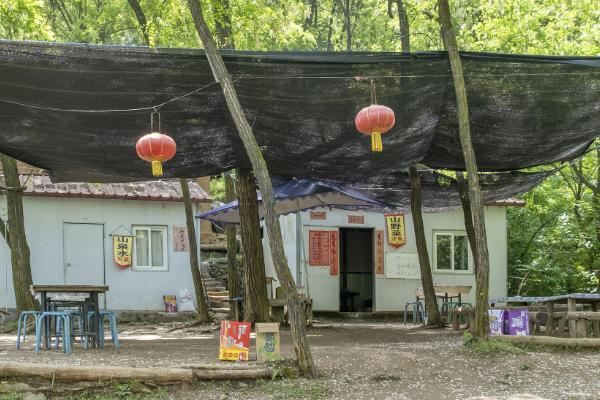 农村有哪些前景不错的创业项目，推荐农产品加工、农产品中介等