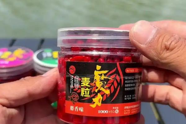 逗钓用什么鱼竿，推荐手竿和矶竿
