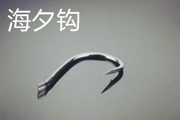 台钓鱼钩选择用什么钩好，根据目标鱼的嘴部结构选择