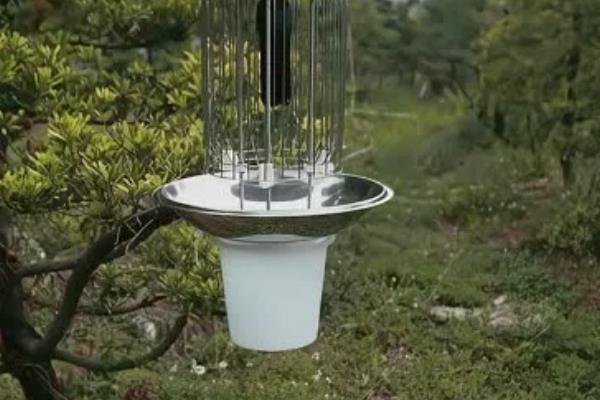 黑光灯诱杀害虫的原理，主要基于昆虫的趋光性