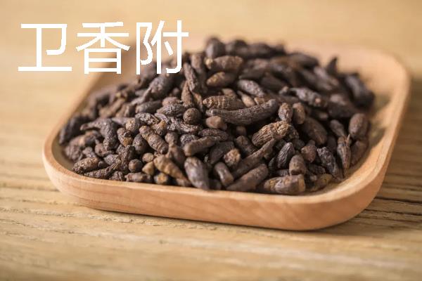 河南安阳滑县的特产，有八里营甜瓜、卫香附等
