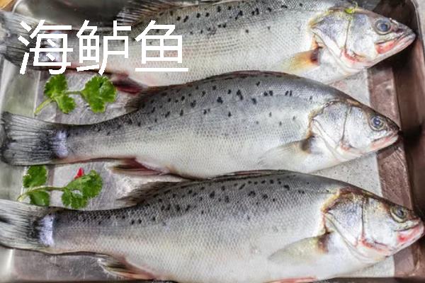 海鲈鱼和河鲈鱼的区别是什么，生存环境和外形均不同