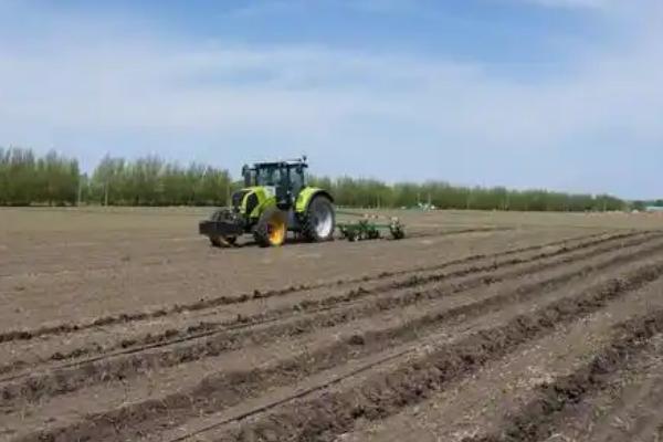 耕地的类型，包括水田、旱地、菜地等