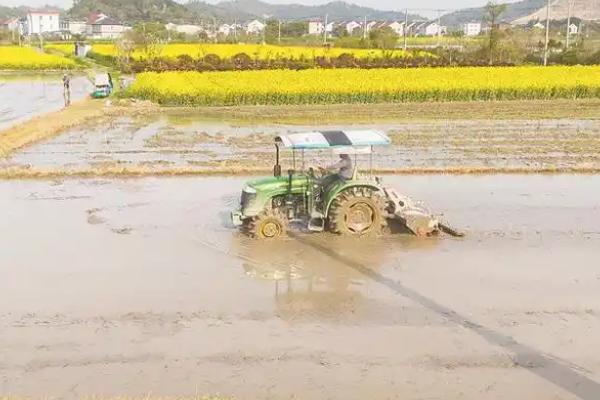 耕地的类型，包括水田、旱地、菜地等