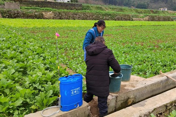 油菜杆为什么会开裂，可能是天气干旱、缺硼、温度过低等原因引起