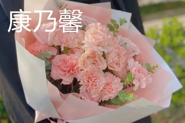哪些花卉适合送老师，可选择康乃馨、百合花等品种