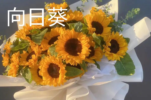 哪些花卉适合送老师，可选择康乃馨、百合花等品种