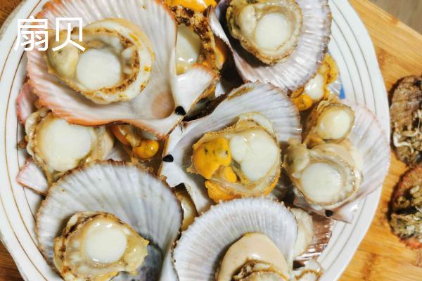 红贝的产地，主要产地在山东省威海市、烟台市等