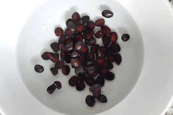 无籽西瓜的培育原理，通过人工诱导多倍体培育而来