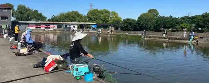 鱼竿28调和19调的意思，是指鱼竿受力位置