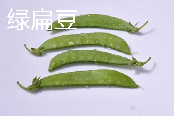 扁豆的种类，常见的有绿扁豆、青扁豆等