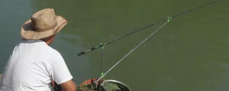 六月钓鱼技巧,首选钓点是树荫下