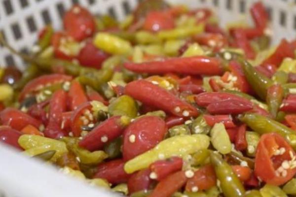 种植子弹头辣椒的要点，播种前需将种子晾晒2-3天